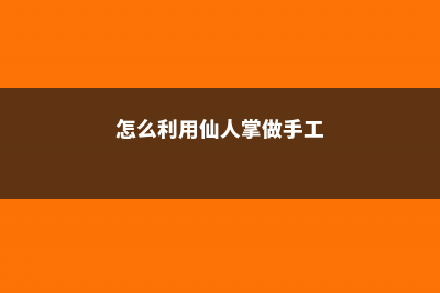 怎么利用仙人掌嫁接令箭荷花 (怎么利用仙人掌做手工)