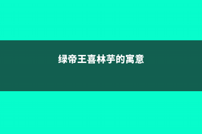 绿帝王喜林芋的水培方法步骤 (绿帝王喜林芋的寓意)