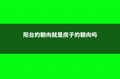 不同朝向的阳台适合养什么花 (阳台的朝向就是房子的朝向吗)