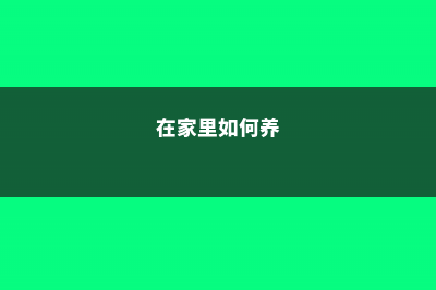 教你一招家庭养花施肥除臭窍门 (在家里如何养)