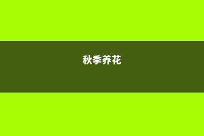 初秋，养花要注意这6件事！ (秋季养花)