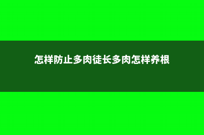 如何防止多肉植物徒长 (怎样防止多肉徒长多肉怎样养根)