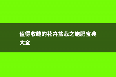 养花小常识:施肥五法 (值得收藏的花卉盆栽之施肥宝典大全)