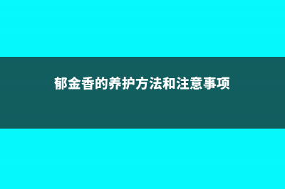 郁金香的养护方法 (郁金香的养护方法和注意事项)