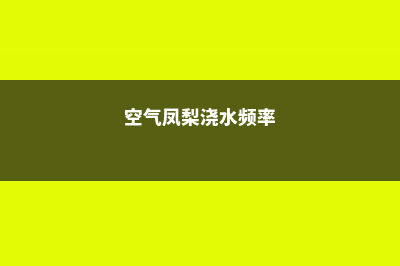 空气凤梨的浇水方法 (空气凤梨浇水频率)