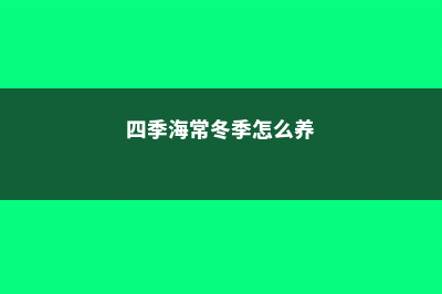 如何养护四季海棠 (四季海常冬季怎么养)