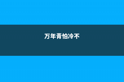 万年青受寒后如何处理 (万年青怕冷不)