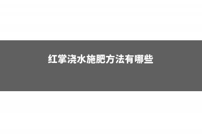 红掌浇水施肥方法 (红掌浇水施肥方法有哪些)