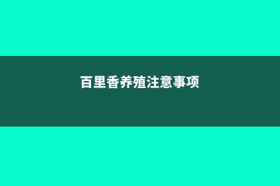 百里香的养殖方法 (百里香养殖注意事项)