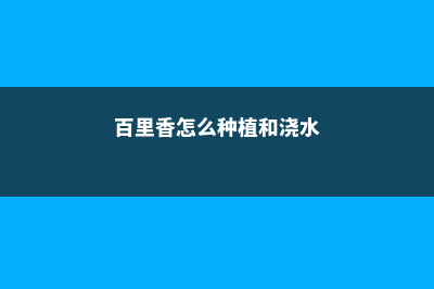 百里香的繁殖方法 (百里香怎么种植和浇水)