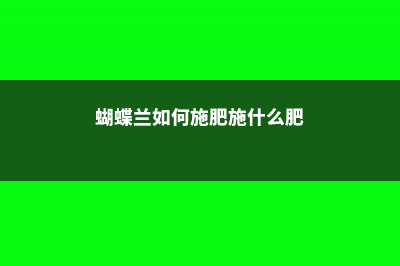 蝴蝶兰如何施肥 (蝴蝶兰如何施肥施什么肥)