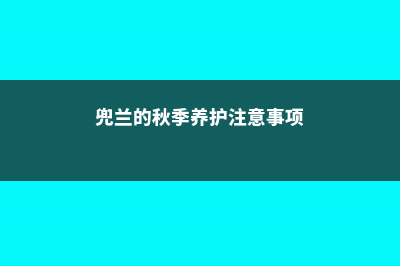 兜兰的秋季养护方法 (兜兰的秋季养护注意事项)