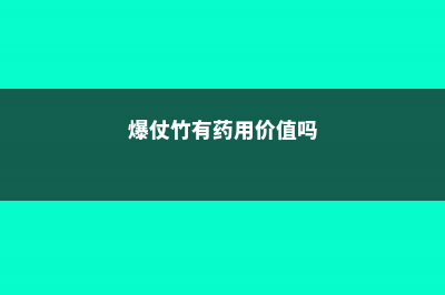 爆仗竹(炮仗竹)的繁殖方法 (爆仗竹有药用价值吗)