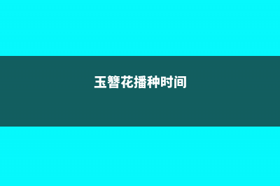 玉簪花怎么播种繁殖 (玉簪花播种时间)