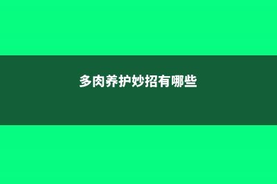 多肉养护妙招，秒变多肉达人 (多肉养护妙招有哪些)