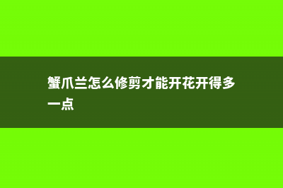 蟹爪兰怎么修剪 (蟹爪兰怎么修剪才能开花开得多一点)