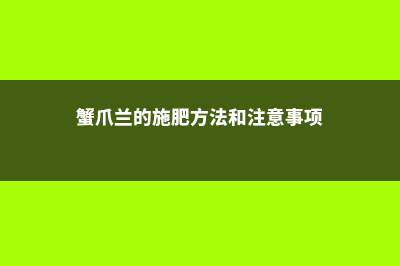 蟹爪兰的施肥方法 (蟹爪兰的施肥方法和注意事项)