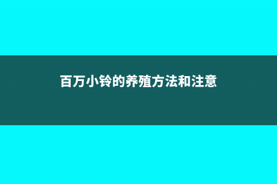 百万小铃的养殖方法和注意事项 (百万小铃的养殖方法和注意)