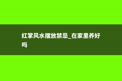 红掌风水摆放禁忌 (红掌风水摆放禁忌 在家里养好吗)