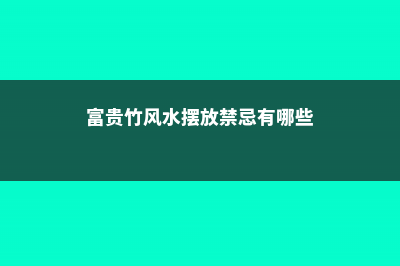 富贵竹风水摆放三不要 (富贵竹风水摆放禁忌有哪些)