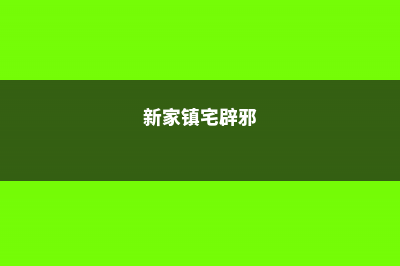 新房镇宅辟邪最厉害的东西 (新家镇宅辟邪)