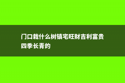 门口栽什么树镇宅旺财 (门口栽什么树镇宅旺财吉利富贵四季长青的)