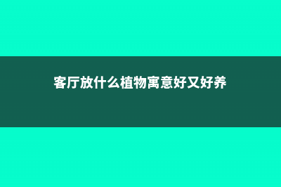 客厅放什么植物旺财而且全家身体好 (客厅放什么植物寓意好又好养)