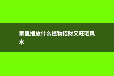 家里摆放什么植物招财又旺宅 (家里摆放什么植物招财又旺宅风水)