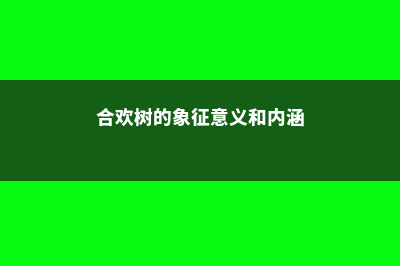 合欢树的象征意义 (合欢树的象征意义和内涵)