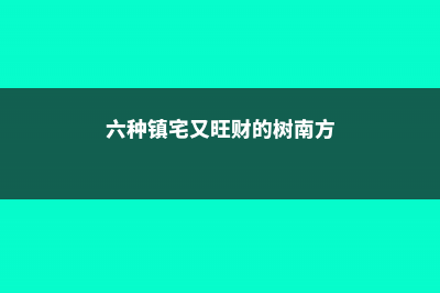 六种镇宅又旺财的树 (六种镇宅又旺财的树南方)