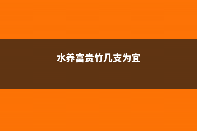 水养富贵竹几支最吉利，10支转运竹什么寓意 (水养富贵竹几支为宜)