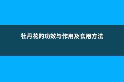 牡丹花的功效与作用，饮用禁忌 (牡丹花的功效与作用及食用方法)