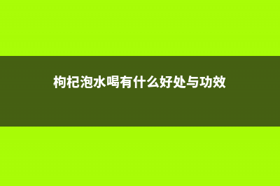 枸杞泡水喝有什么好处，什么人不能喝 (枸杞泡水喝有什么好处与功效)