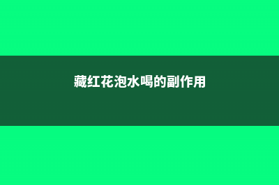 藏红花泡水喝的功效，一次泡几根 (藏红花泡水喝的副作用)