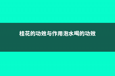 桂花的功效与作用 (桂花的功效与作用泡水喝的功效)