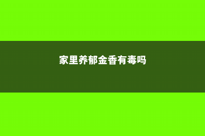 郁金香有毒吗 适合室内养吗 (家里养郁金香有毒吗)