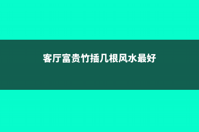 客厅富贵竹插几支旺财，放在客厅怎么养护 (客厅富贵竹插几根风水最好)