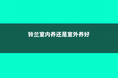 铃兰可以室内养吗，有什么注意事项 (铃兰室内养还是室外养好)