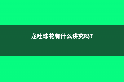 龙吐珠的花语和寓意，送人有什么禁忌 (龙吐珠花有什么讲究吗?)