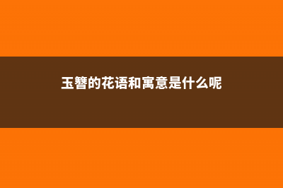 玉簪的花语和寓意，有什么传说故事 (玉簪的花语和寓意是什么呢)