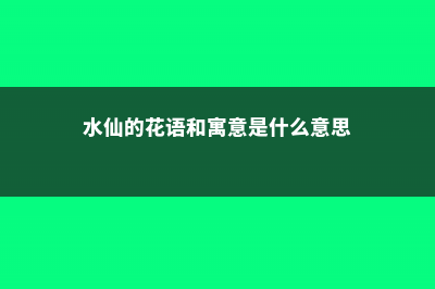 水仙的花语和寓意，有什么传说故事 (水仙的花语和寓意是什么意思)