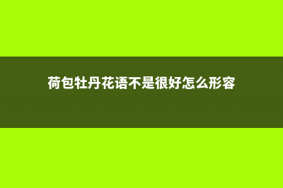 荷包牡丹的花语和寓意，有什么传说故事 (荷包牡丹花语不是很好怎么形容)