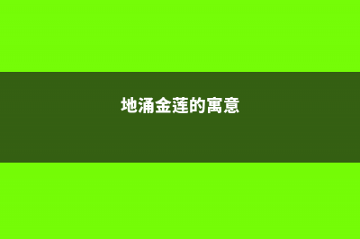 地涌金莲的花语和寓意，有什么传说故事 (地涌金莲的寓意)