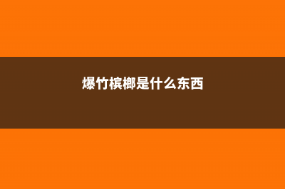 槟榔是什么东西，它的功效与作用危害 (爆竹槟榔是什么东西)