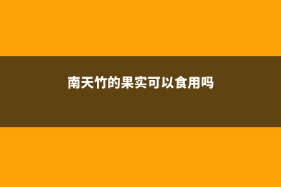 南天竹的果实可以吃吗，吃多少会中毒 (南天竹的果实可以食用吗)