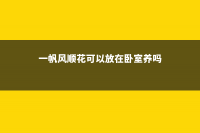 一帆风顺花能养在家中吗，在家中如何养护 (一帆风顺花可以放在卧室养吗)