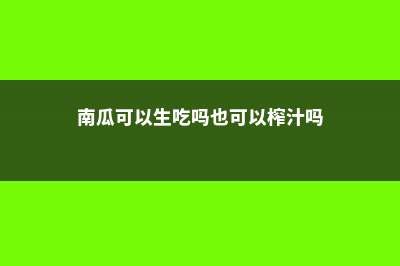 南瓜可以生吃吗，吃南瓜的好处有哪些 (南瓜可以生吃吗也可以榨汁吗)