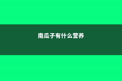 南瓜有什么营养，吃了有什么好处 (南瓜子有什么营养)