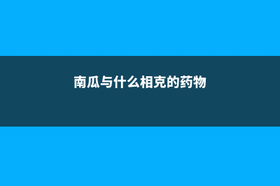 南瓜与什么相克，不能和什么同吃 (南瓜与什么相克的药物)