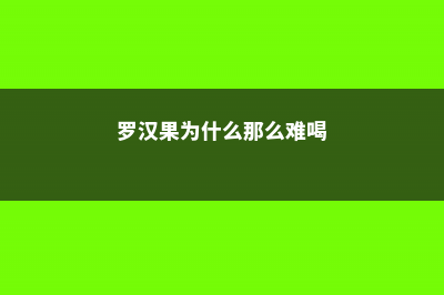 罗汉果为什么那么甜，主要营养成分是什么 (罗汉果为什么那么难喝)